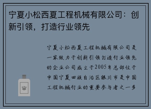 宁夏小松西夏工程机械有限公司:创新引领,打造行业领先 宁夏小松西夏工程机械有限公司:创新引领,打造行业领先