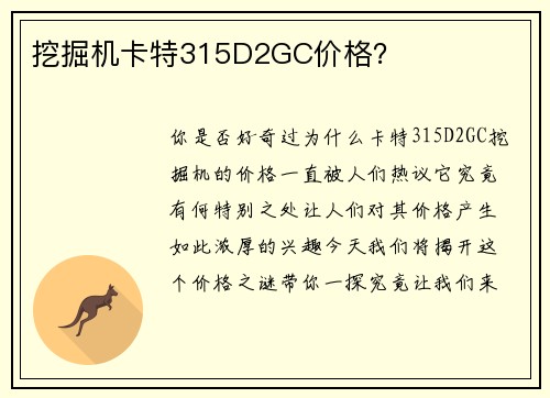 挖掘机卡特315D2GC价格? 挖掘机卡特315D2GC价格?